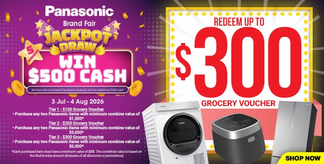 panasonic brand Fair