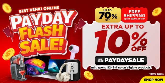Payday Flash Sale